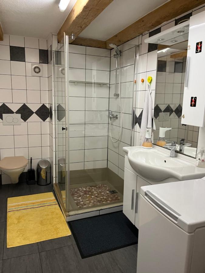 Chambre Papillon Avec Acces Terasse La Neuveville Luaran gambar