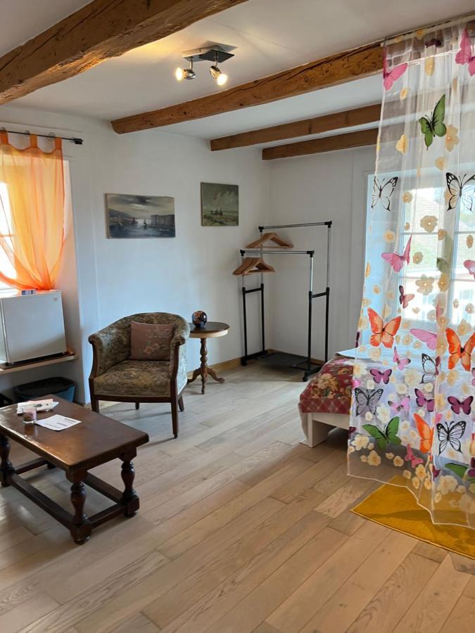 Chambre Papillon Avec Acces Terasse La Neuveville Luaran gambar